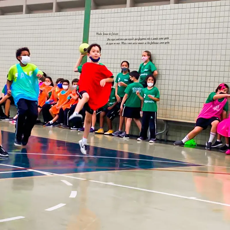 Salgueiro é polo oficial de Mini-Handebol — Colégio Salgueiro