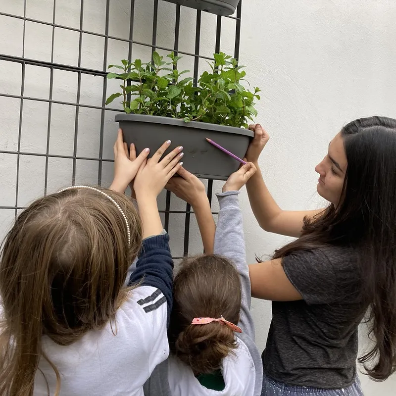 Meio ambiente com aluno protagonista — Colégio Salgueiro