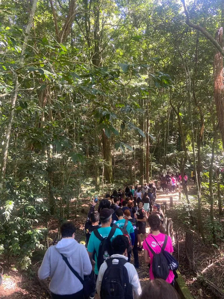 Estudantes sobem ao Pico do Jaraguá no Dia do Desafio — Colégio Salgueiro em Interlagos